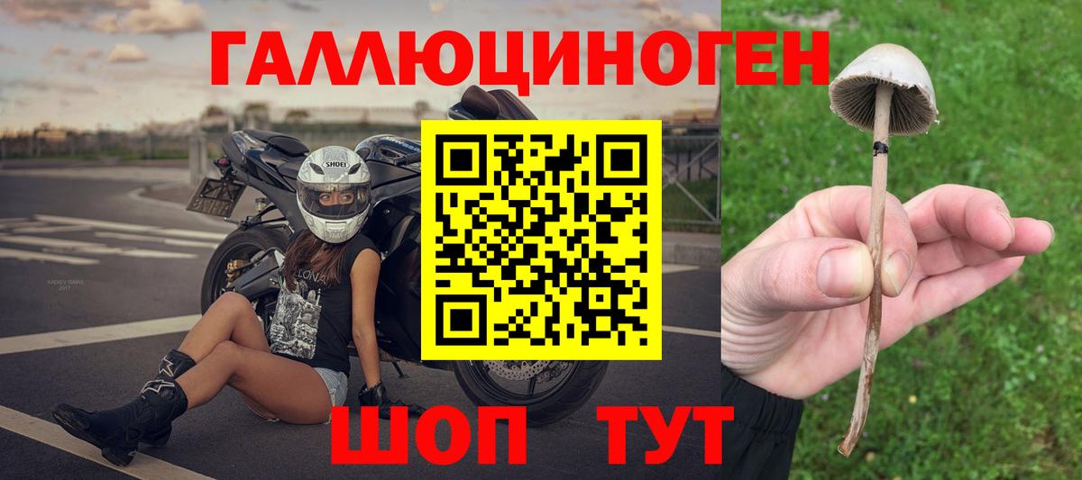 Псилоцибиновые грибы Cubensis Коряжма