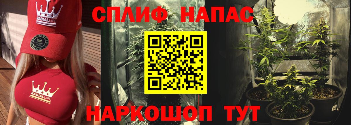 Бошки Шишки Ganja Коряжма
